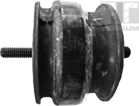 Tedgum 00221177 - Support moteur droxauto.com