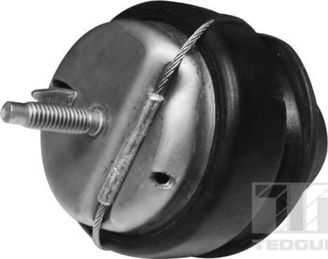 Tedgum 00745687 - Support moteur droxauto.com