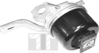 Tedgum TED40730 - Support moteur droxauto.com