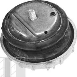 Tedgum TED57477 - Support moteur droxauto.com