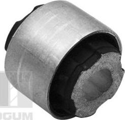 Tedgum TED10617 - Suspension, bras de liaison droxauto.com