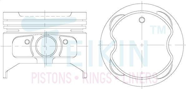 Teikin 46255.025 - Piston droxauto.com
