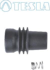 TESLA CP076 - Fiche, bougie d'allumage droxauto.com