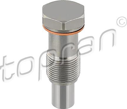 Topran 117 284 - Tendeur, chaîne de distribution droxauto.com