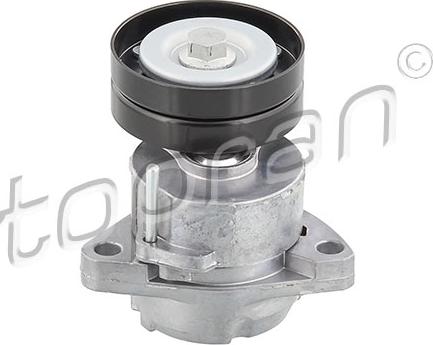 Topran 205 736 - Poulie renvoi / transmission, courroie trapézoïdale à nervures droxauto.com