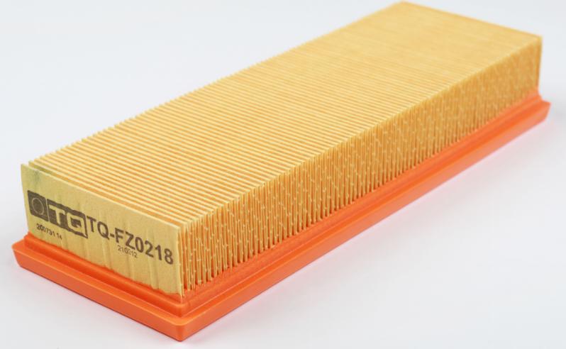 TQ TQ-FZ0218 - Filtre à air droxauto.com