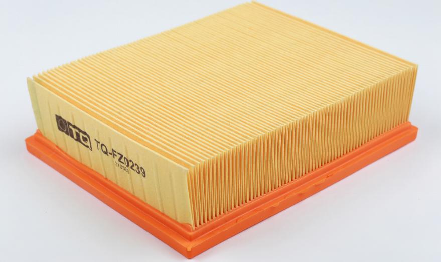 TQ TQ-FZ0239 - Filtre à air droxauto.com