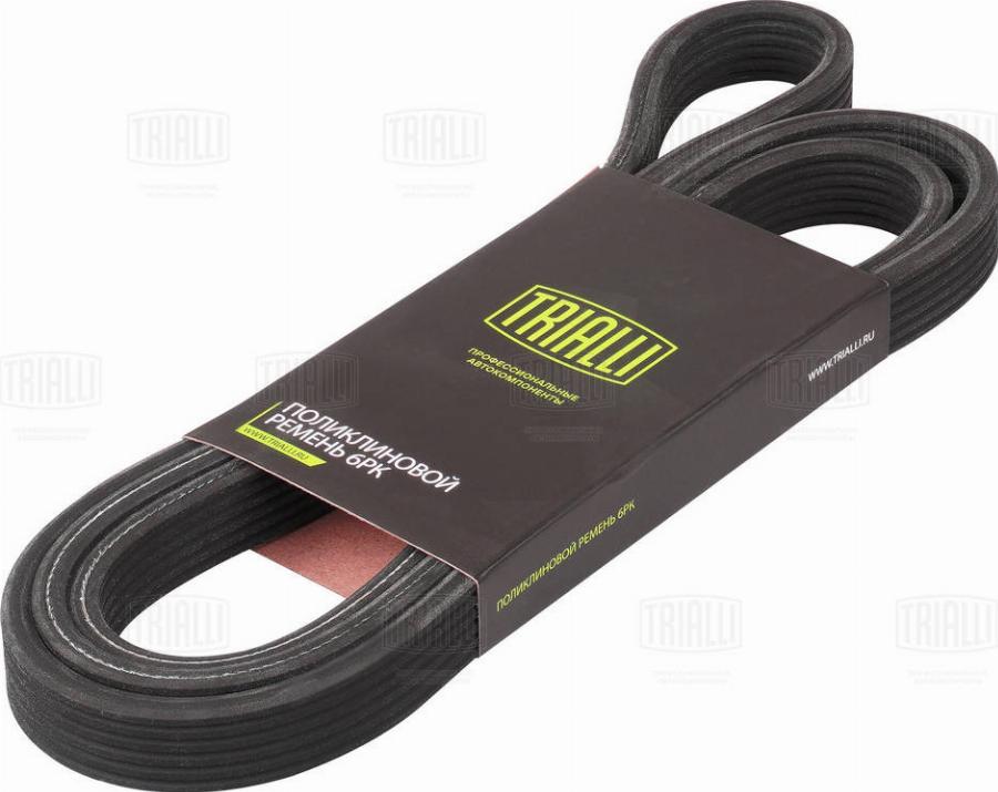 Trialli 6DPK1841 - Courroie trapézoïdale à nervures droxauto.com