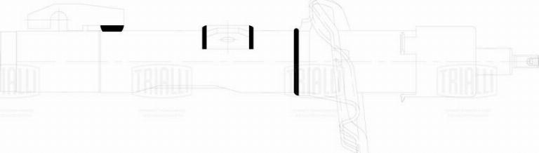 Trialli AG 10067 - Amortisseur droxauto.com