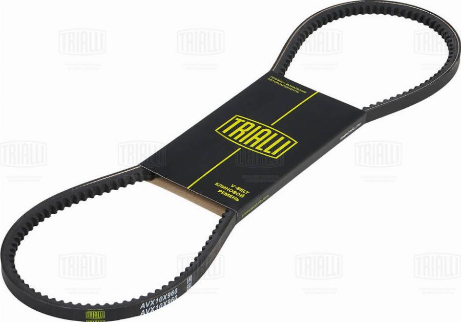 Trialli AVX10X960 - Courroie trapézoïdale droxauto.com