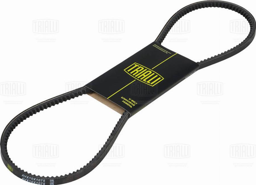 Trialli AVX10X1075 - Courroie trapézoïdale droxauto.com