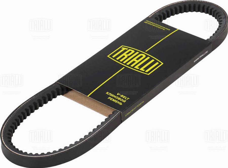 Trialli AVX13X675 - Courroie trapézoïdale droxauto.com