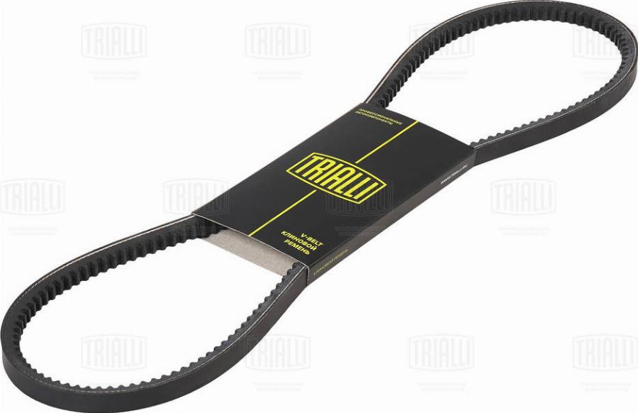 Trialli AVX13X1050 - Courroie trapézoïdale droxauto.com