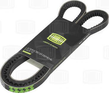 Trialli AVX13X1250 - Courroie trapézoïdale droxauto.com