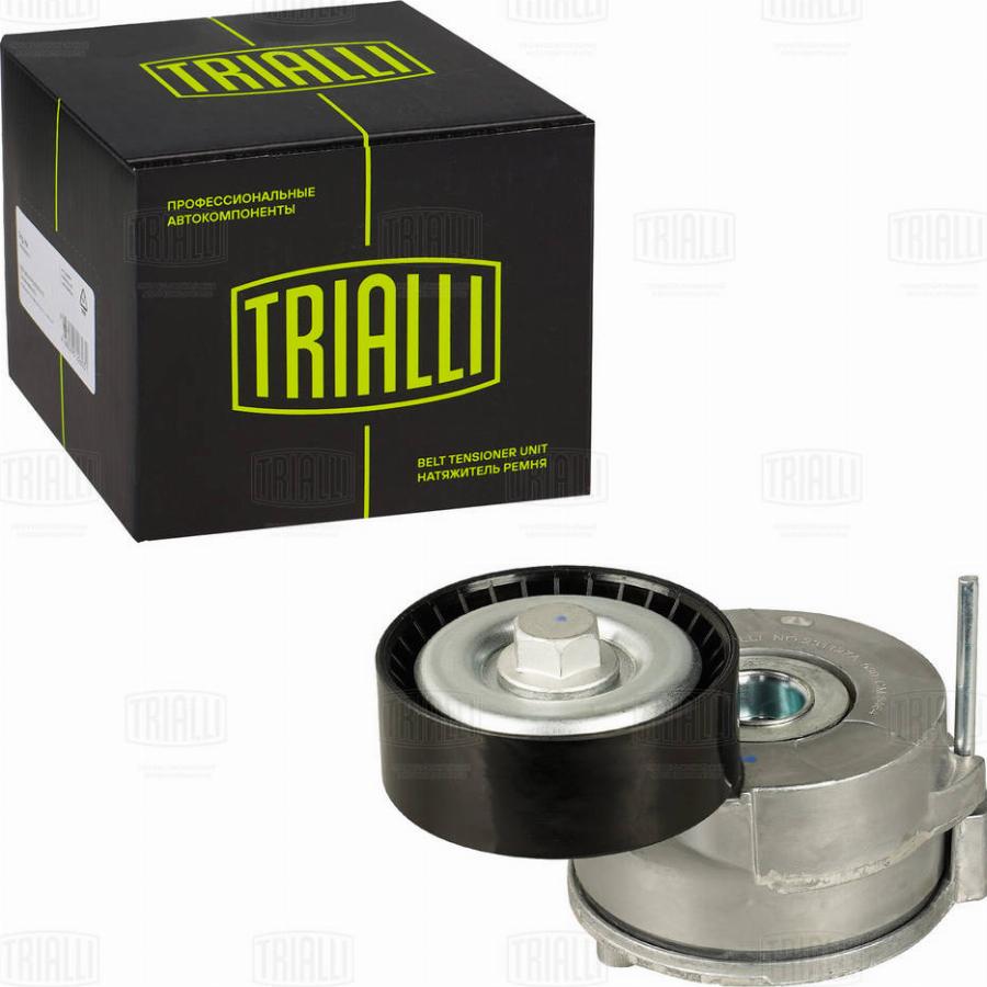 Trialli CM 5464 - Tendeur de courroie, courroie trapézoïdale à nervures droxauto.com