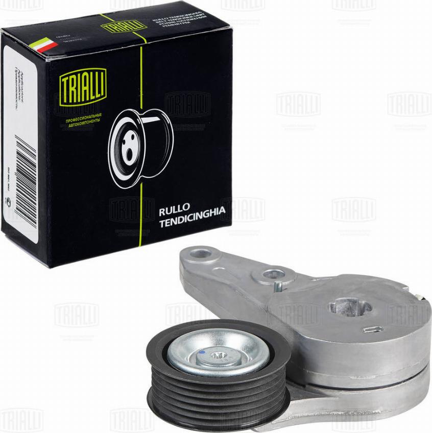 Trialli CM 5463 - Tendeur de courroie, courroie trapézoïdale à nervures droxauto.com