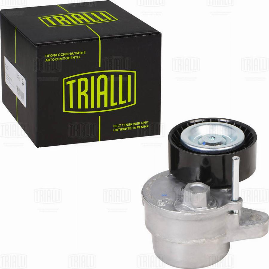 Trialli CM 5644 - Tendeur de courroie, courroie trapézoïdale à nervures droxauto.com