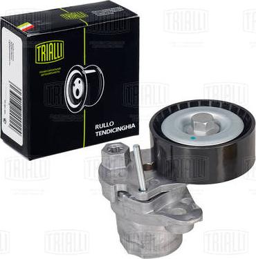 Trialli CM 5097 - Poulie renvoi / transmission, courroie trapézoïdale à nervures droxauto.com