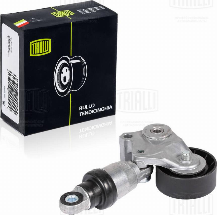 Trialli CM 5059 - Tendeur de courroie, courroie trapézoïdale à nervures droxauto.com