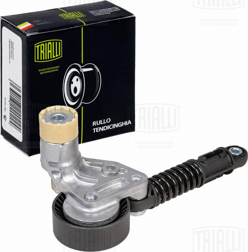 Trialli CM 5148 - Tendeur de courroie, courroie trapézoïdale à nervures droxauto.com
