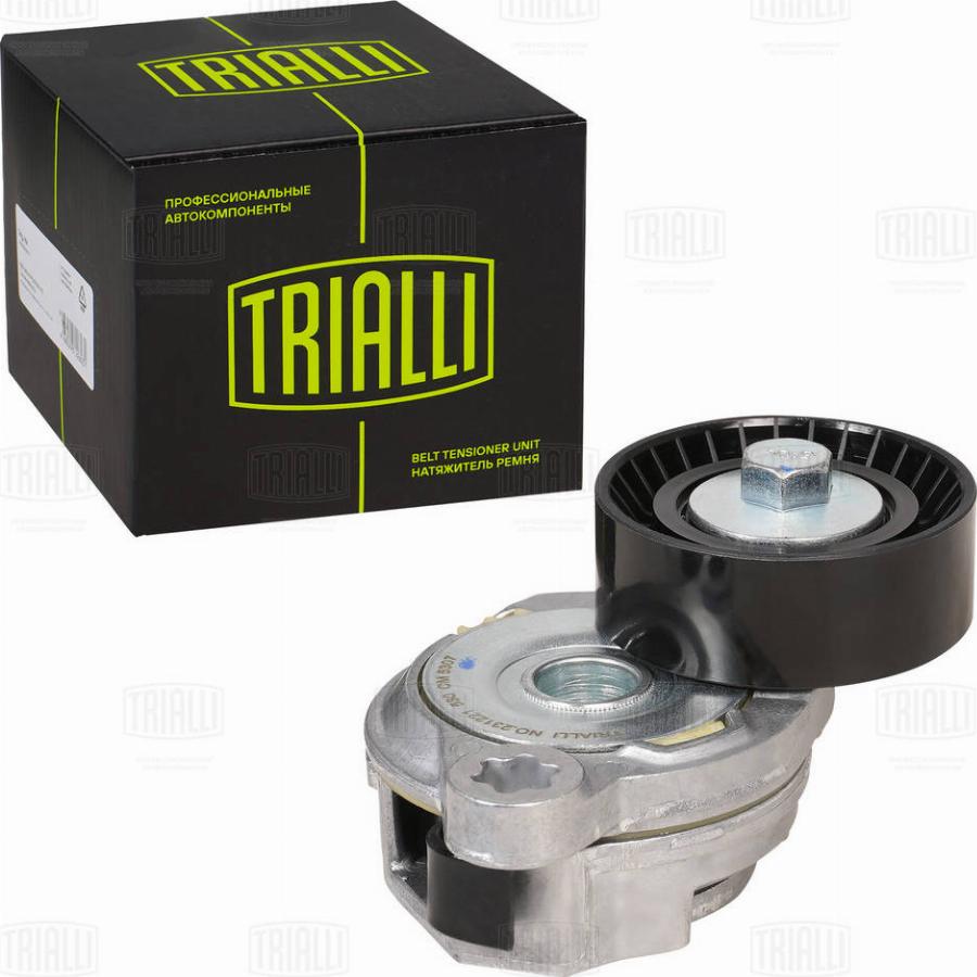 Trialli CM 5307 - Tendeur de courroie, courroie trapézoïdale à nervures droxauto.com