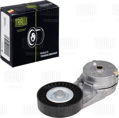 Trialli CM 5318 - Poulie renvoi / transmission, courroie trapézoïdale à nervures droxauto.com