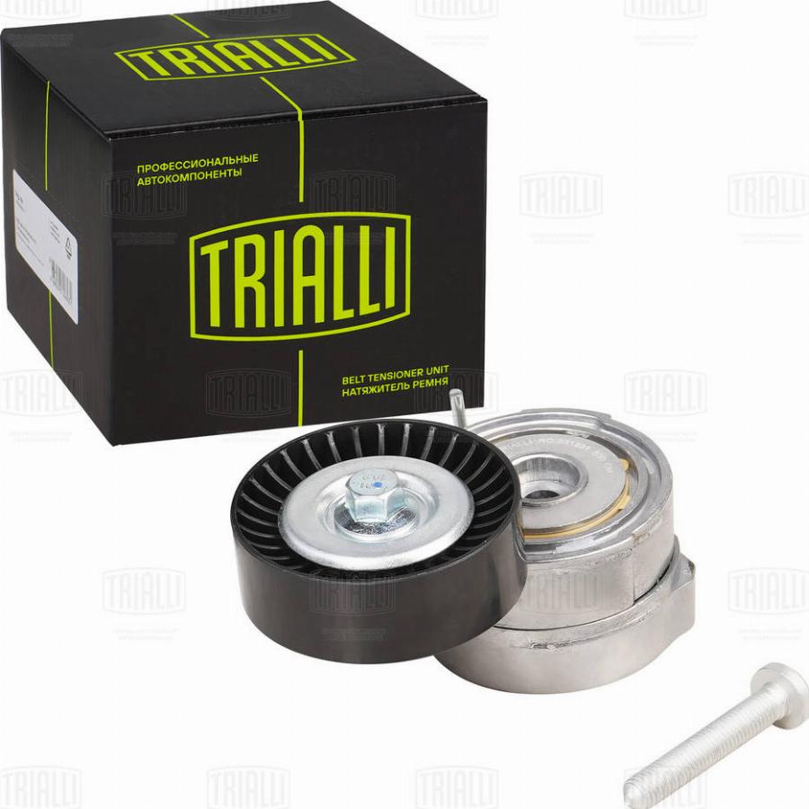 Trialli CM 5379 - Tendeur de courroie, courroie trapézoïdale à nervures droxauto.com