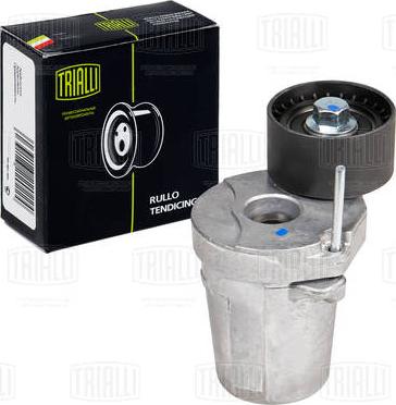 Trialli CM 5286 - Poulie renvoi / transmission, courroie trapézoïdale à nervures droxauto.com