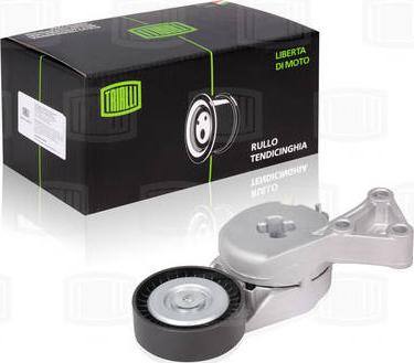 Trialli CM 1806 - Poulie renvoi / transmission, courroie trapézoïdale à nervures droxauto.com