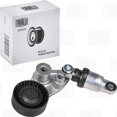 Trialli CMS 1701 - Poulie renvoi / transmission, courroie trapézoïdale à nervures droxauto.com