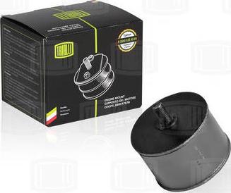 Trialli RM 0104 - Support moteur droxauto.com