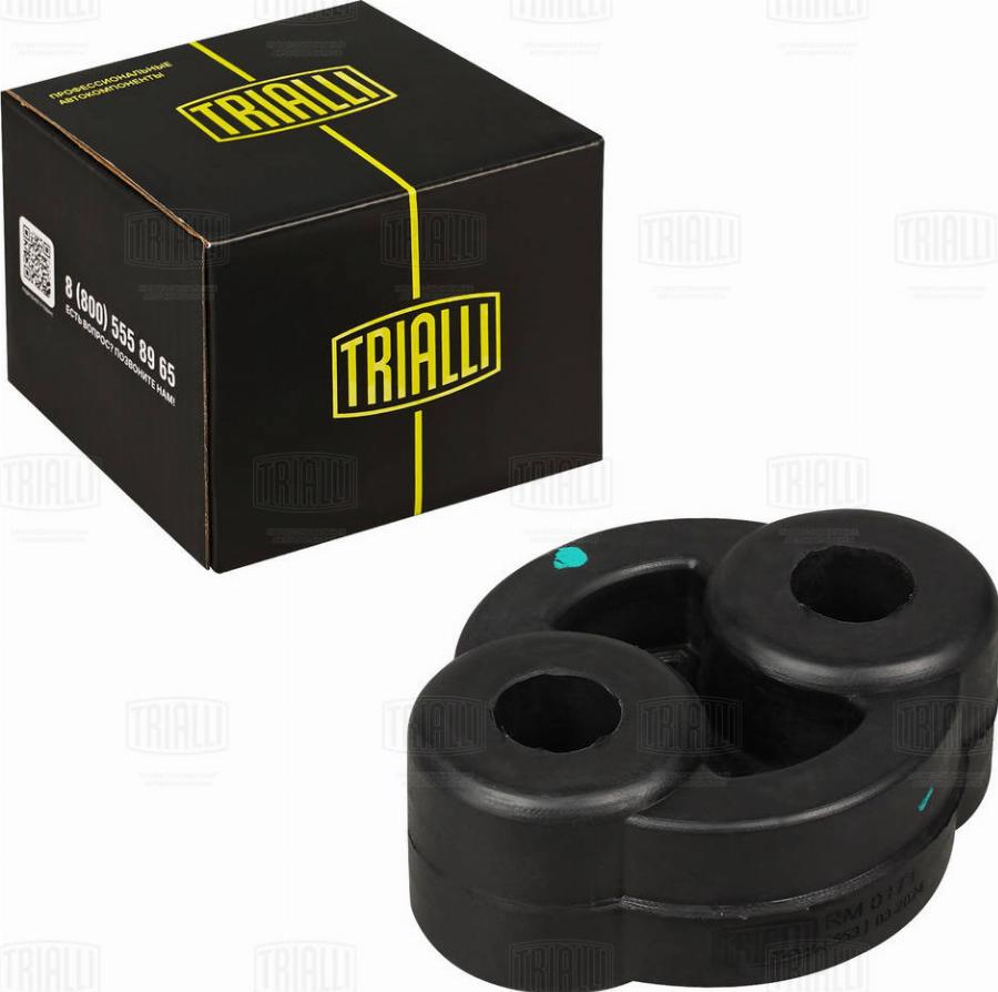 Trialli RM 0171 - Support, silencieux droxauto.com
