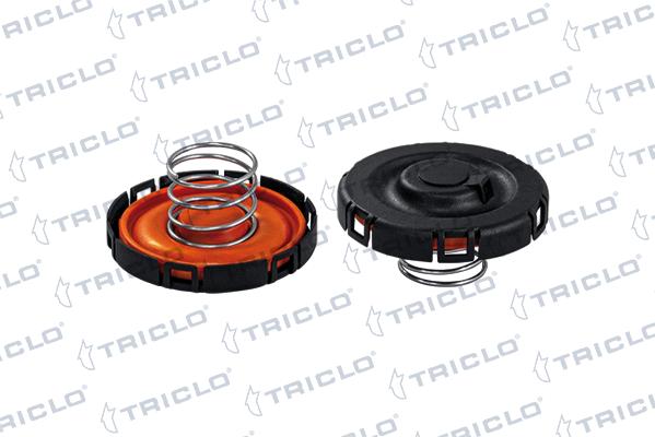 Triclo 412571 - Diaphragme, ventilation du carter-moteur droxauto.com