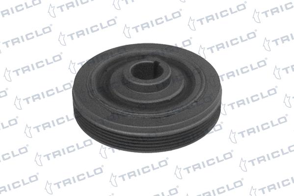 Triclo 421206 - Poulie, vilebrequin droxauto.com