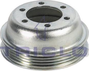 Triclo 421281 - Poulie, vilebrequin droxauto.com