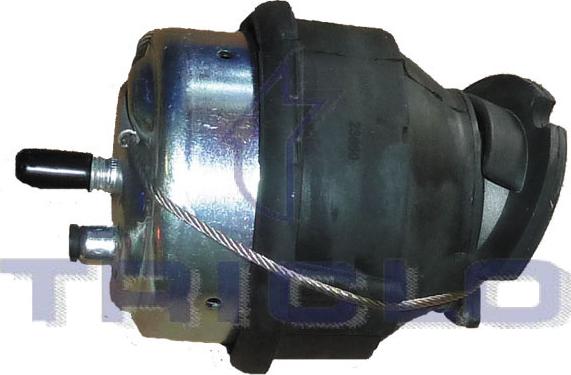 Triclo 367175 - Support moteur droxauto.com