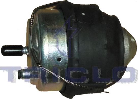 Triclo 367248 - Support moteur droxauto.com