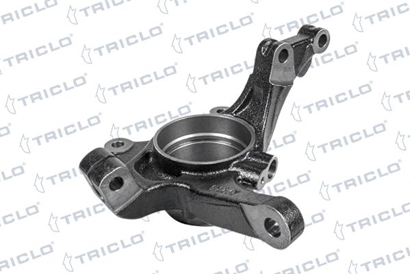 Triclo 766598 - Fusée d'essieu, suspension de roue droxauto.com