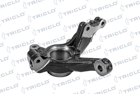 Triclo 768858 - Fusée d'essieu, suspension de roue droxauto.com