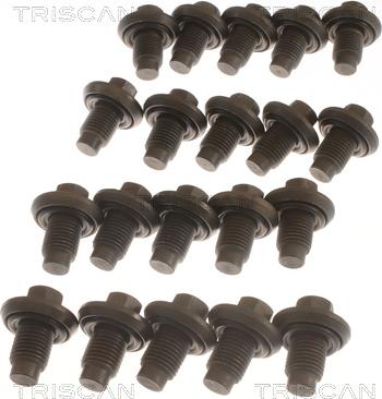 Triscan 9500 1009-20 - Vis-bouchon, carter d'huile droxauto.com