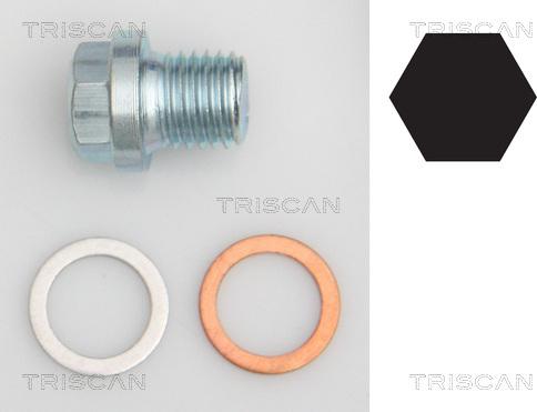 Triscan 9500 1011 - Vis-bouchon, carter d'huile droxauto.com