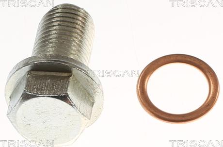 Triscan 9500 1025 - Vis-bouchon, carter d'huile droxauto.com