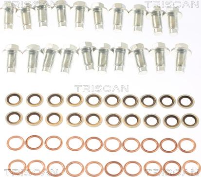 Triscan 9500 1020-20 - Vis-bouchon, carter d'huile droxauto.com