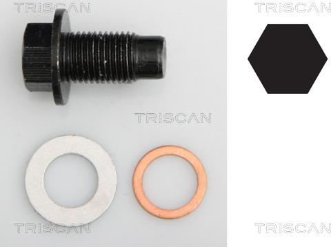 Triscan 9500 1020 - Vis-bouchon, carter d'huile droxauto.com