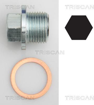 Triscan 9500 1022 - Vis-bouchon, carter d'huile droxauto.com