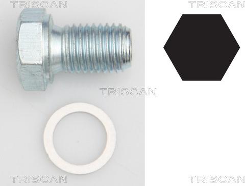 Triscan 9500 1101 - Vis-bouchon, carter d'huile droxauto.com