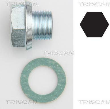 Triscan 9500 1301 - Vis-bouchon, carter d'huile droxauto.com