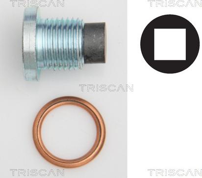 Triscan 9500 2801 - Vis-bouchon, carter d'huile droxauto.com
