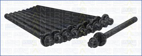 Triscan 98-5010 - Jeu de boulons de culasse de cylindre droxauto.com