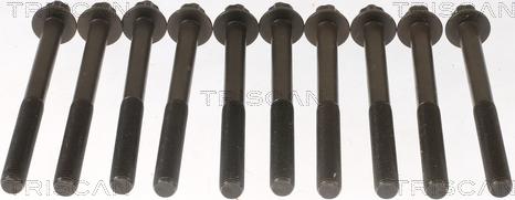 Triscan 98-1013 - Jeu de boulons de culasse de cylindre droxauto.com